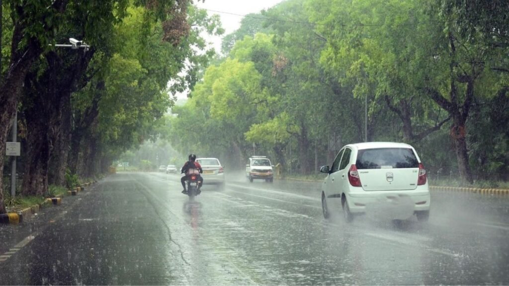 Rain Alert